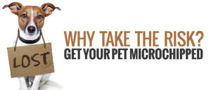 Get-your-pet-microchipped